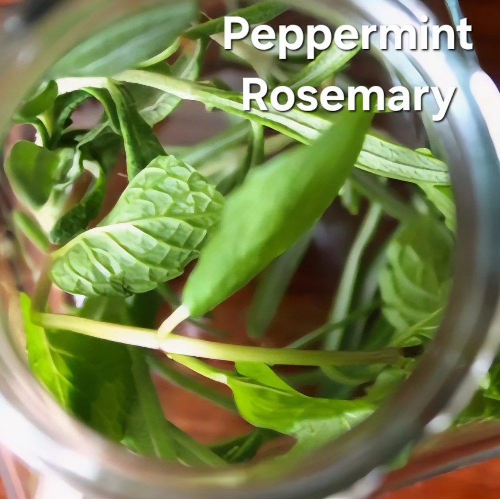 LAST ONE!   Hand Crafted Foot Balm 2oz Tin Assorted Scents - Picture 9 of 16